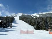 Abfahrt Whiskey Jack