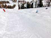 Stade Slalom Abfahrt