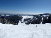 Piste Nr. 13a Gobelja