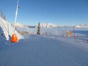 Leichte Talabfahrt parallel zur Rodelbahn