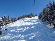 Buckelpiste am Champagne Express