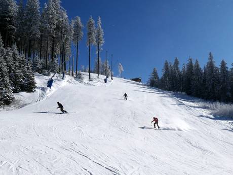 Skigebiete für Könner und Freeriding Erzgebirge – Könner, Freerider Pleßberg (Plešivec) – Abertamy