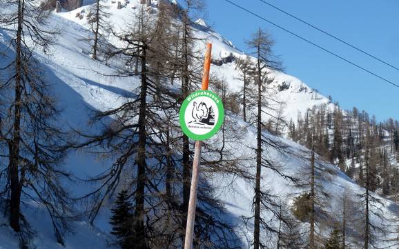 Hermagor: Umweltfreundlichkeit der Skigebiete – Umweltfreundlichkeit Nassfeld – Hermagor