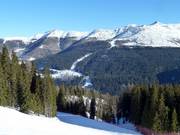 Blick von der Rotwand zum Stiergarten