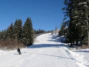 Piste Pavla