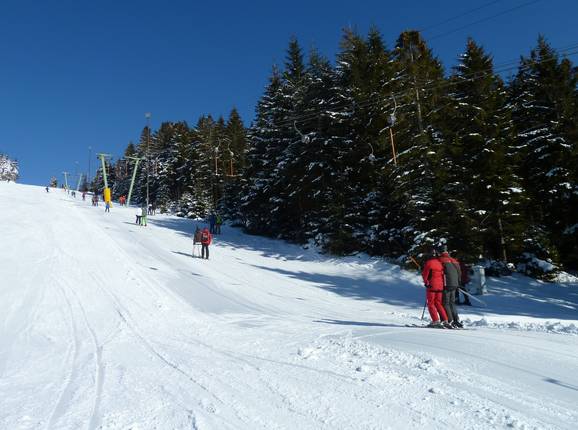 Bühlertallift 1 - Schlepplift mit T-Bügel/Anker