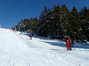Bühlertallift 1 - Schlepplift mit T-Bügel/Anker