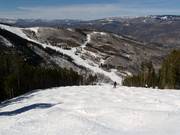 Buckelpiste in Beaver Creek