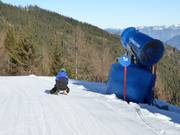Tipp für die Kleinen  - Beschneite Rodelbahn Fügen