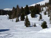 Schwarzsee-Hochmoor-Loipe