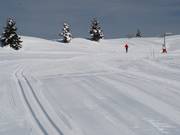 Ausreichend Platz für Klassisch und Skating