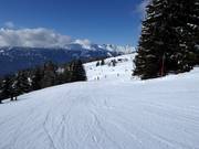 Leichte Familienabfahrt