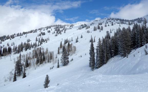Bestes Skigebiet in der Teton Range – Testbericht Grand Targhee