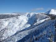 Blick auf die Abfahrten in der Taynton Bowl