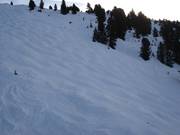 Buckelpiste auf der Rosenalm