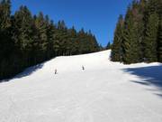 Mittelschwere Piste am Špičák 