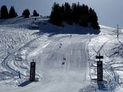 BMW xDrive Skimovie am Saanerslochgrat