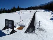 Big Sky Carpet Surface Lift 6 (Pea Shooter) - Förderband