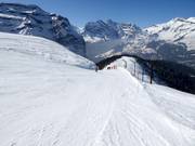 Lauberhorn-Weltcup Abfahrt