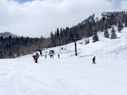 Leichte Piste an der Sesselbahn Link