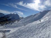 Tiefschneehänge an der Planai