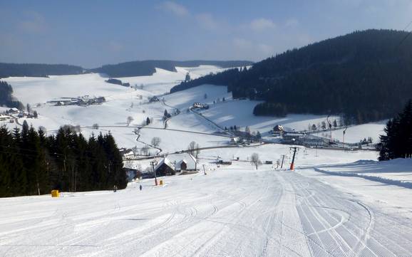 Skifahren bei Titisee-Neustadt