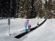 Förderband Thaneller