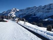 Tapis Mazots - Förderband/Zauberteppich