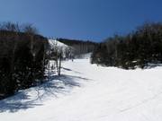 Typische Waldschneisenabfahrt