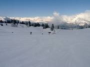 Leichte Piste Chamois