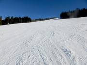 Fishang-Abfahrt am Stübenwasenlift