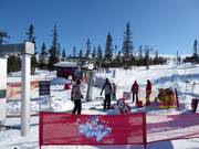 Smotten - Tellerlift