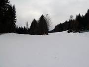 Familien-Kogelabfahrt