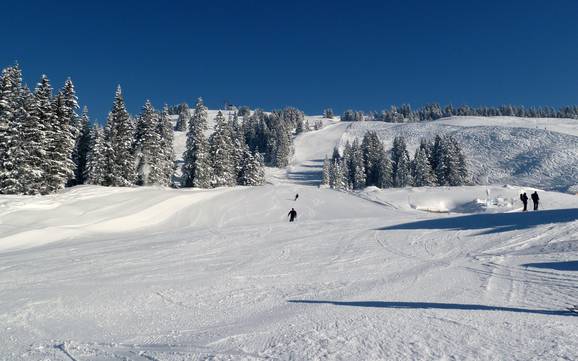 Bodensee-Vorarlberg: Größe der Skigebiete – Größe Laterns – Gapfohl