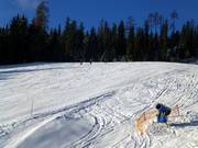Mobile Schneekanone in Wartestellung