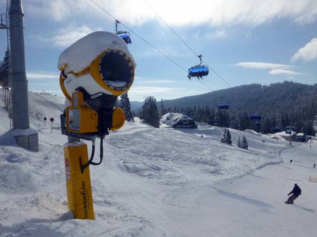 Schneesicherheit Hochschwarzwald – Schneesicherheit Feldberg – Seebuck/Grafenmatt/Fahl