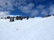 Abfahrt Williamson Bowl