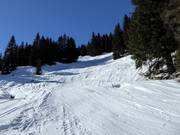 Varianten an der schwarzen Tröglipiste