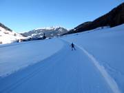 Loipe in Weißenbach