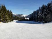 Leichte Talabfahrt nach Radstadt
