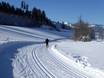 Langlauf Westeuropa – Langlauf SkiWelt Wilder Kaiser-Brixental