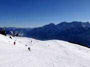 Piste Goldener Pflug