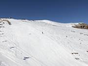 Leichte Piste Nr. 15