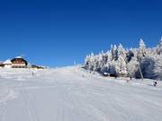 Leichte Piste am Almwiesenlift