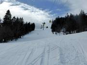 Mittelschwerer Slalomhang