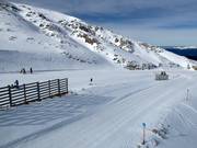 Übungshang Baby 1 (Kellaria 1950)