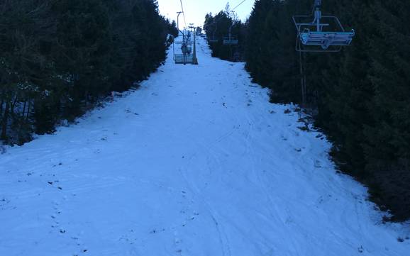 Skigebiete für Könner und Freeriding Hohenbogenwinkel – Könner, Freerider Hohenbogen – Neukirchen bei Hl. Blut