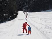 Skilehrer der ESF