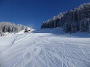 Breite leichte Piste am oberen Almkopf