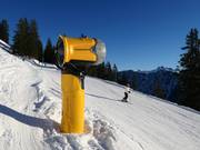 Leistungsstarke Beschneiung